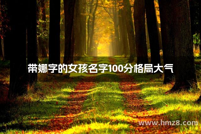 带娜字的女孩名字100分格局大气