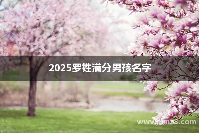 2025罗姓满分男孩名字