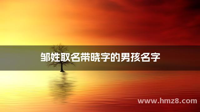 邹姓取名带晓字的男孩名字