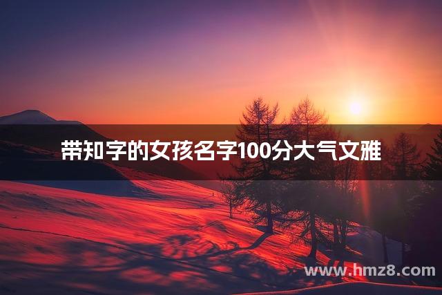 带知字的女孩名字100分大气文雅