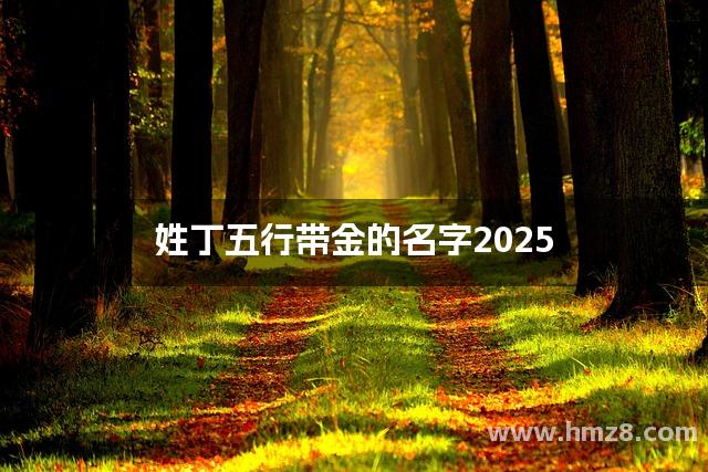 姓丁五行带金的名字2025