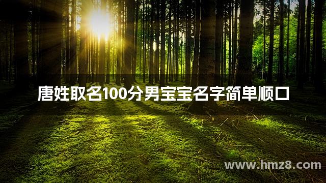 唐姓取名100分男宝宝名字简单顺口