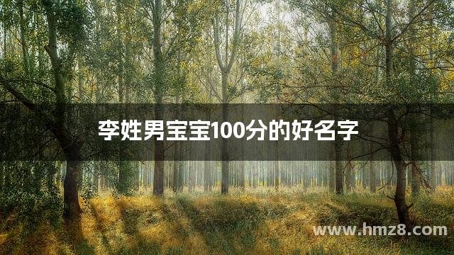 李姓男宝宝100分的好名字