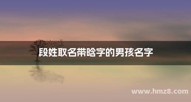 段姓取名带晗字的男孩名字