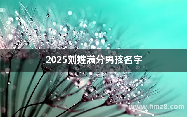 2025刘姓满分男孩名字