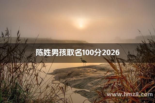 陈姓男孩取名100分2026