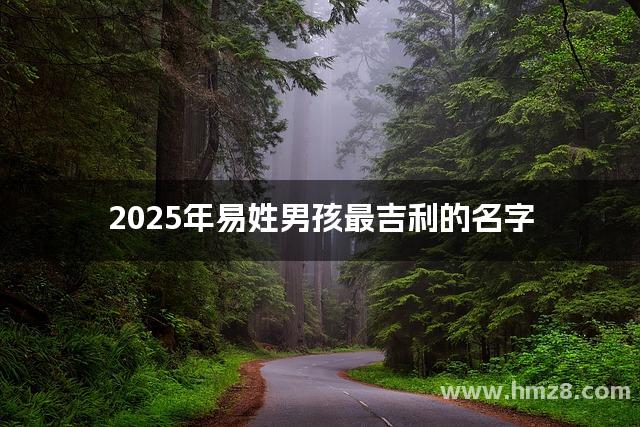 2025年易姓男孩最吉利的名字