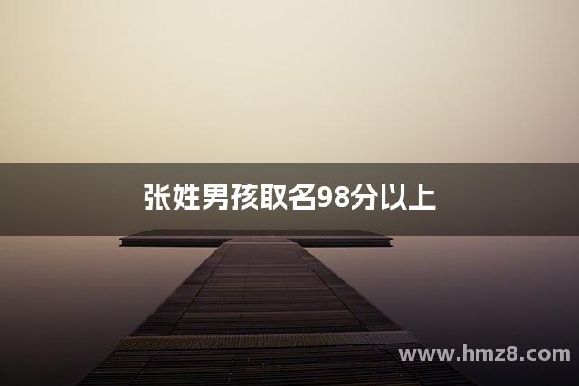 张姓男孩取名98分以上