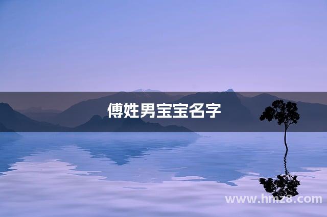 傅姓男宝宝名字