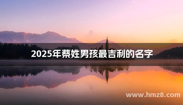 2025年蔡姓男孩最吉利的名字