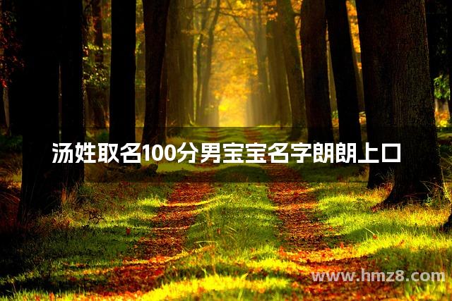 汤姓取名100分男宝宝名字朗朗上口