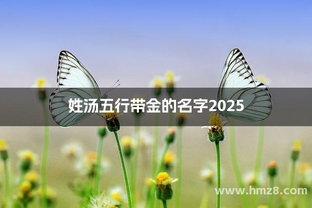 姓汤五行带金的名字2025