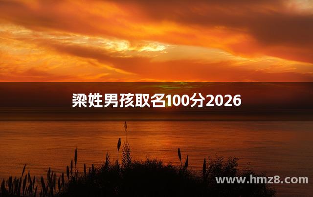 梁姓男孩取名100分2026