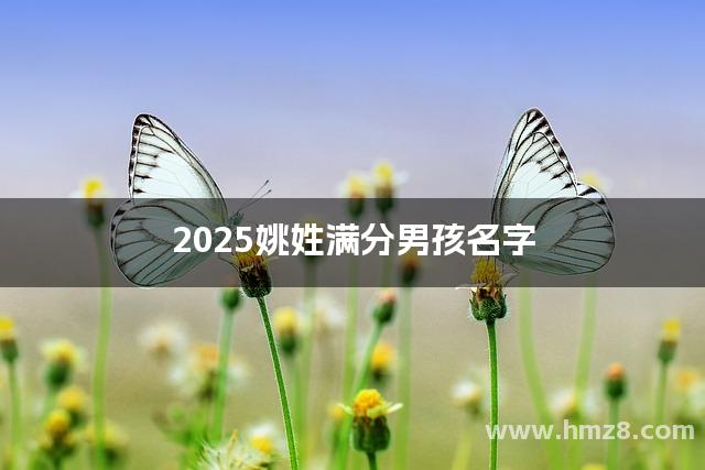 2025姚姓满分男孩名字