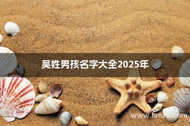 吴姓男孩名字大全2025年