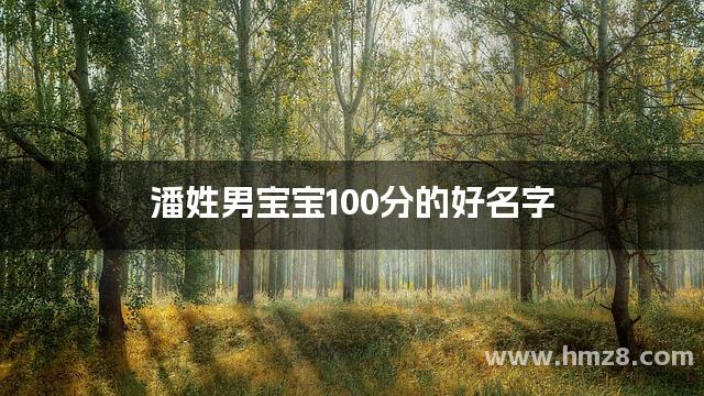 潘姓男宝宝100分的好名字