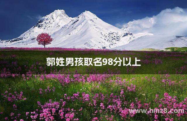 郭姓男孩取名98分以上