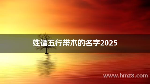 姓谭五行带木的名字2025